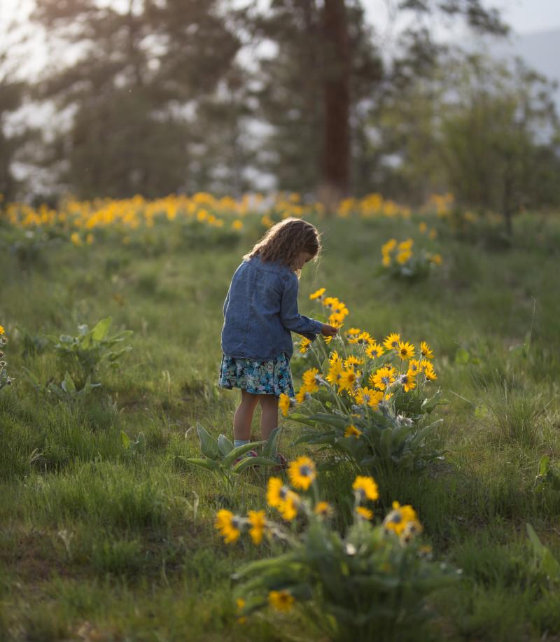 A Girl Picking Flowers at Knox Mountain