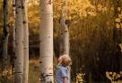 boy beside yellow aspen tree in forrest