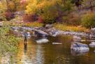 Fall Fly Fishing Wyoming