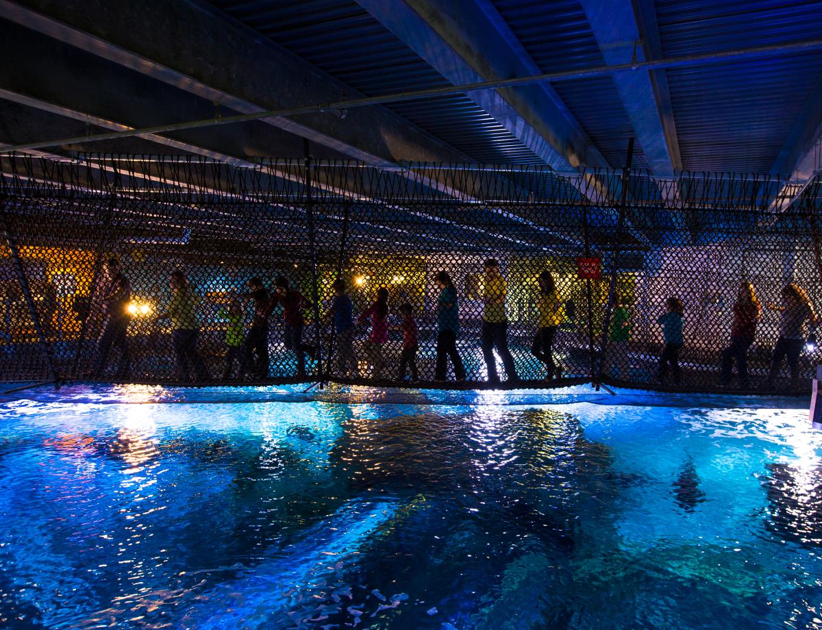 A line of people walking across the suspended Shark Bridge over the shark tank at the Newport Aquarium