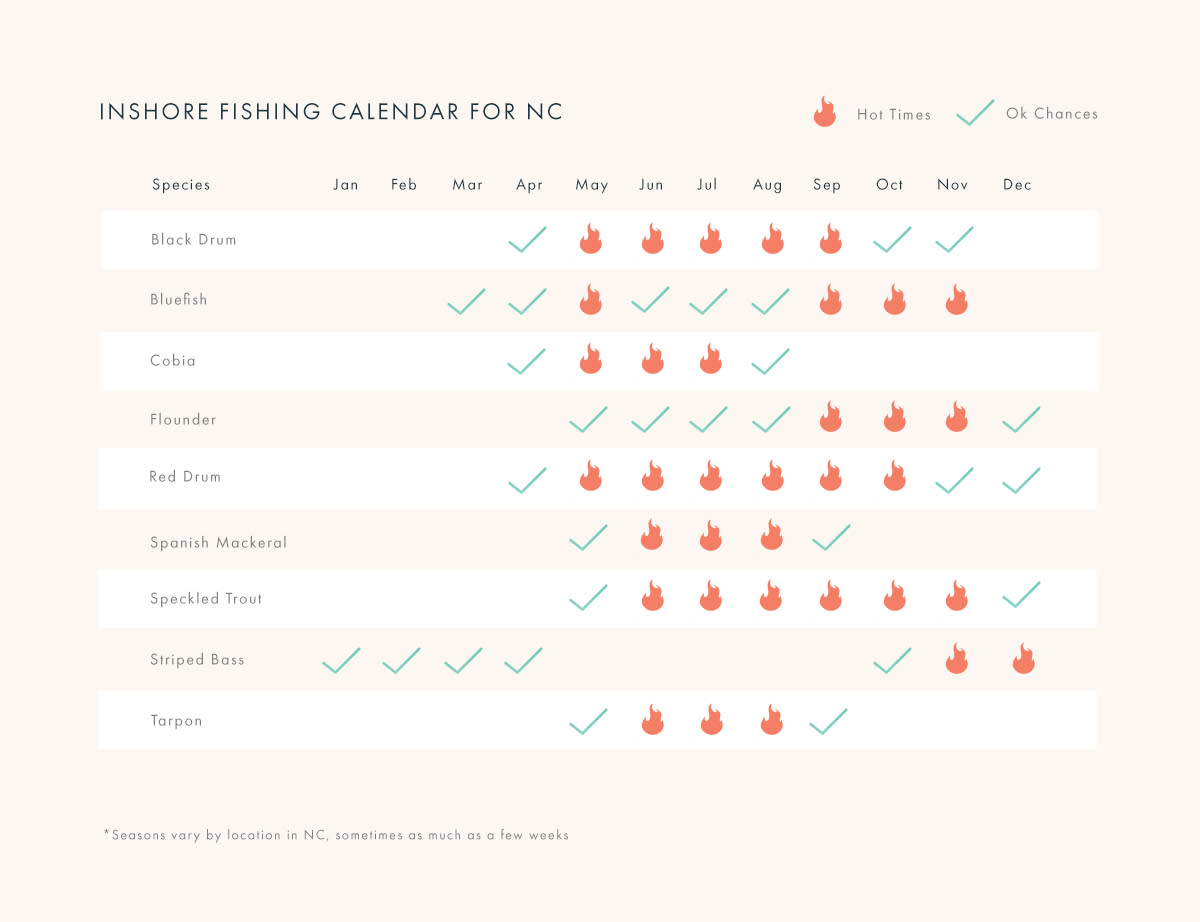 inshore-fishing chart