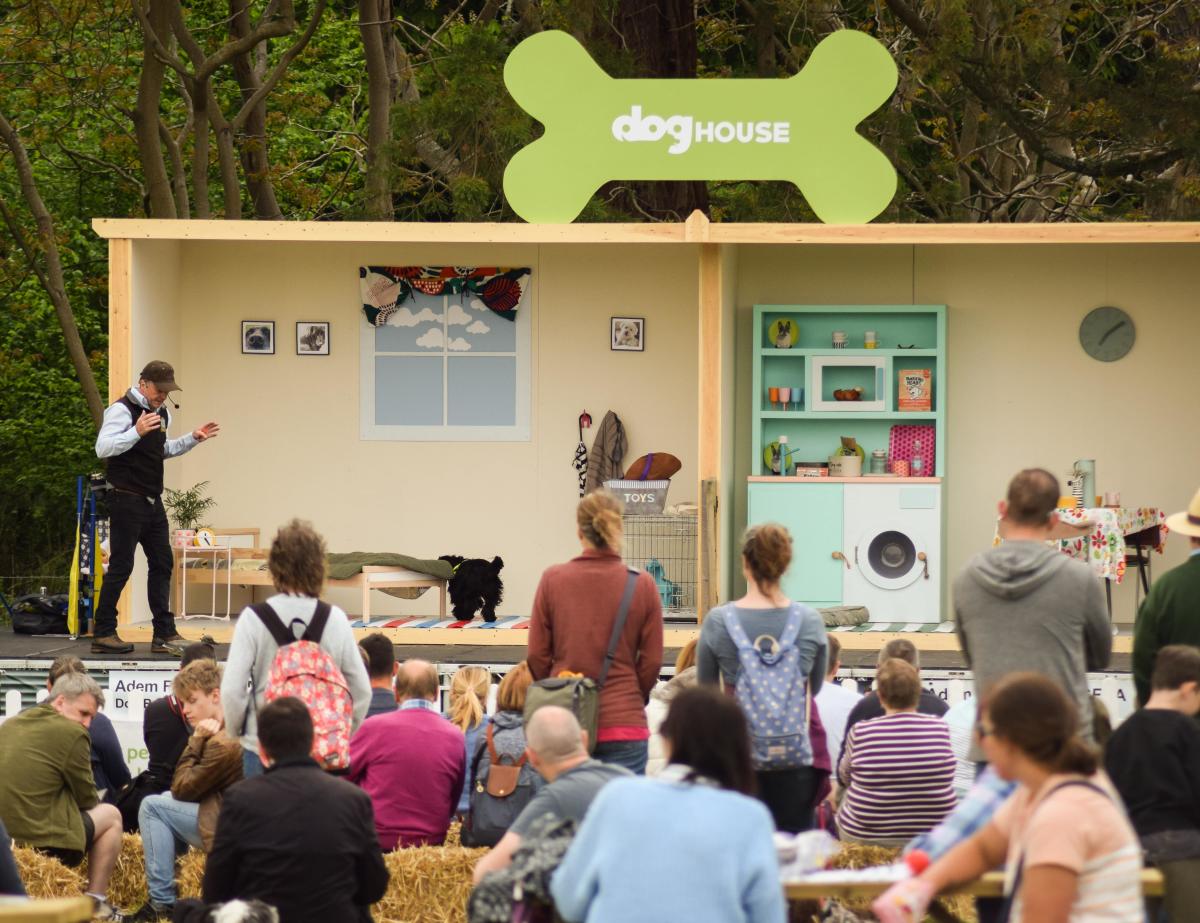 Dogs and visitors at Canine Stage at Dogstival