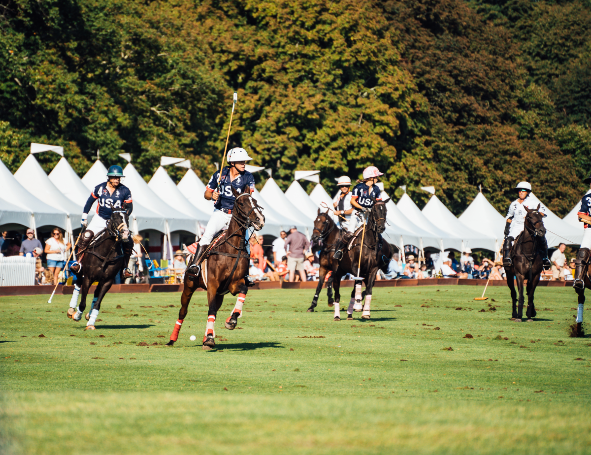 Newport Polo