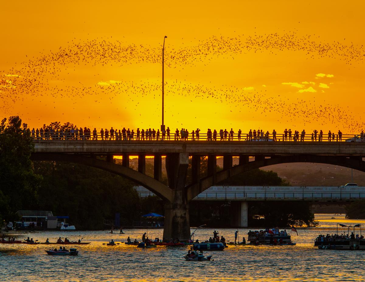 Image of people standing along the Congress Avenue Bridge at sunset watching the bats fly out from beneath the bridge.