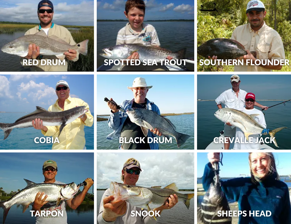 Your Fishing Guide for Palm Beach County