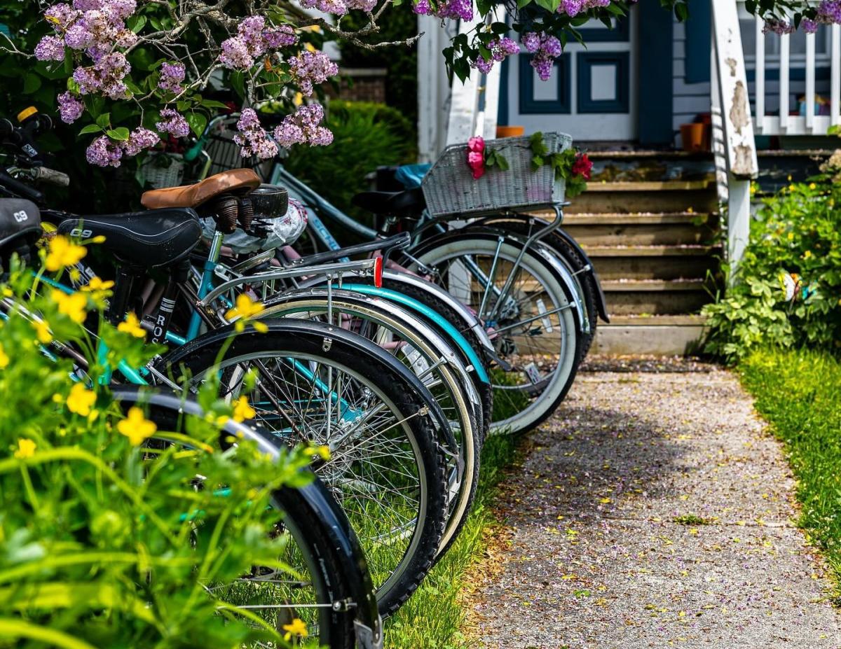 A row of parked bicycles line a walkway alongside blooming lilacs on Mackinac Island