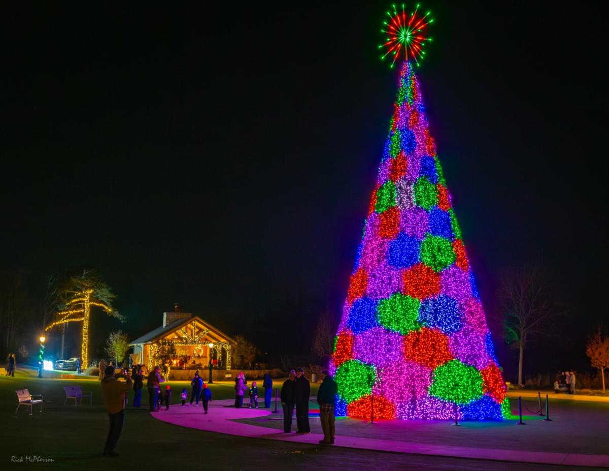 Lights illuminate a giant Christmas tree at Illuminations at Botanica