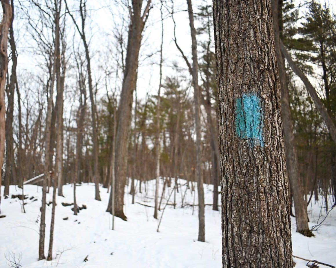 Town: Colchester     Distance from Downtown Burlington: 20 minutes - Just 20 minutes North of Burlington, you’ll find Niquette Bay State Park. Choose your own adventure with one of three trails. The Ledges Trail provides slightly rougher terrain with some views of the lake at the top. 