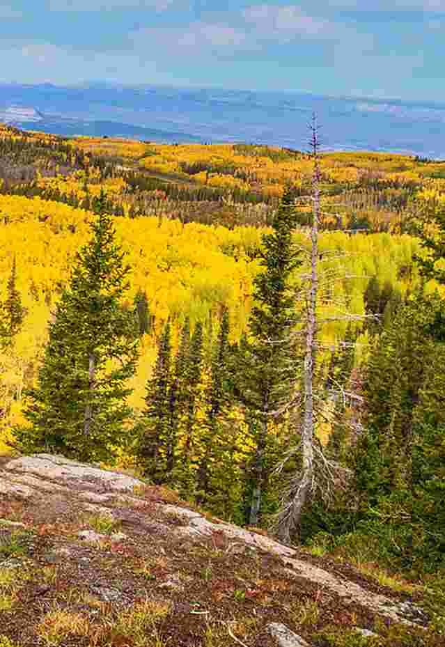 Two People Looking at Fall Colors on the Grand Mesa