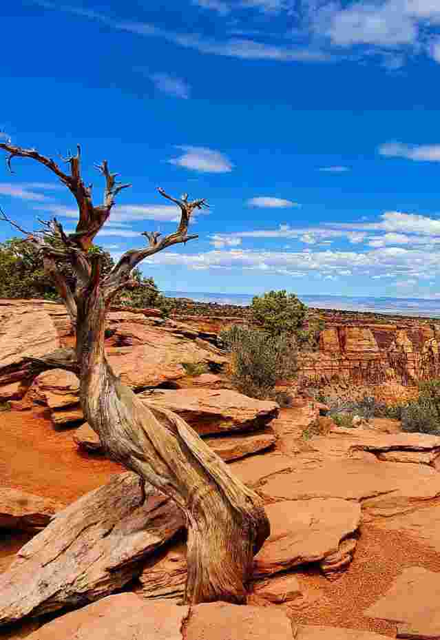 View of Colorado National Monument