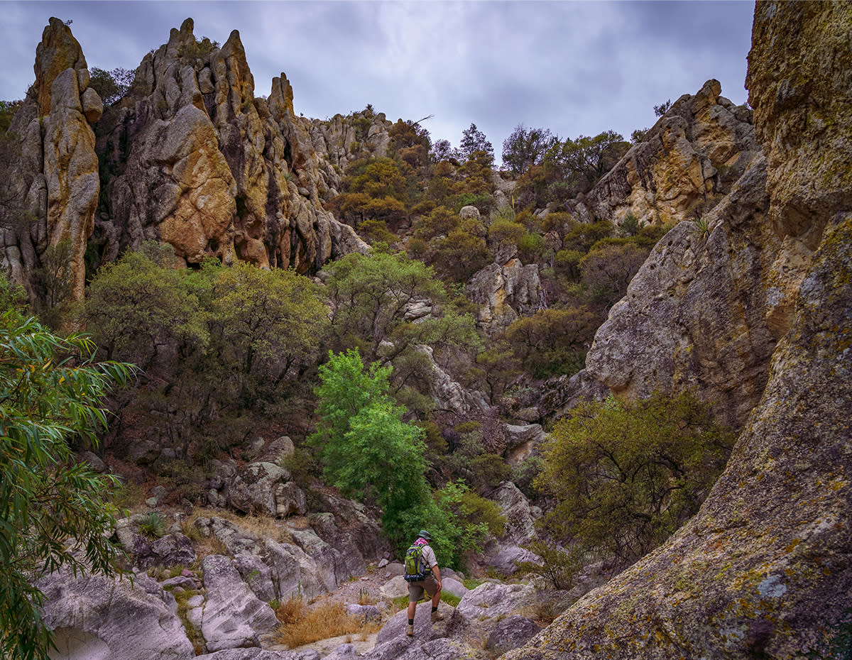 solo man with backpack hiking in Rocky canyon. Large rock formations on all sides with green dessert brush and trees scattered in canyon rocks