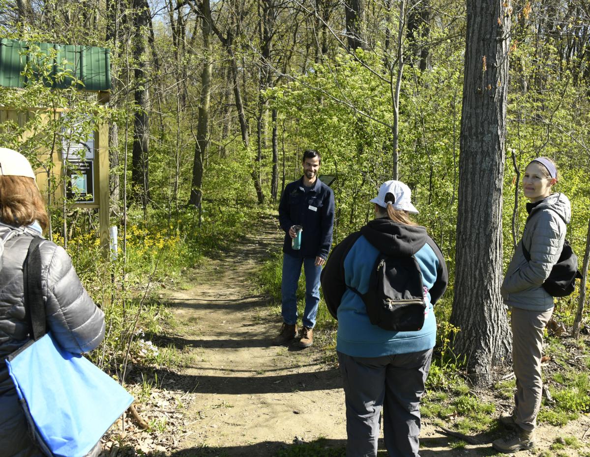 Entrance to Burnett Woods