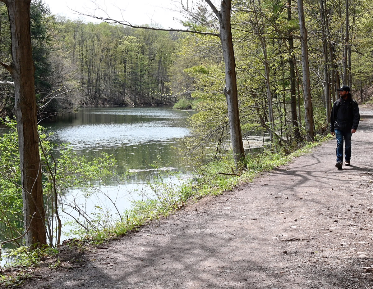 Man hiking on a path by a stream in spring