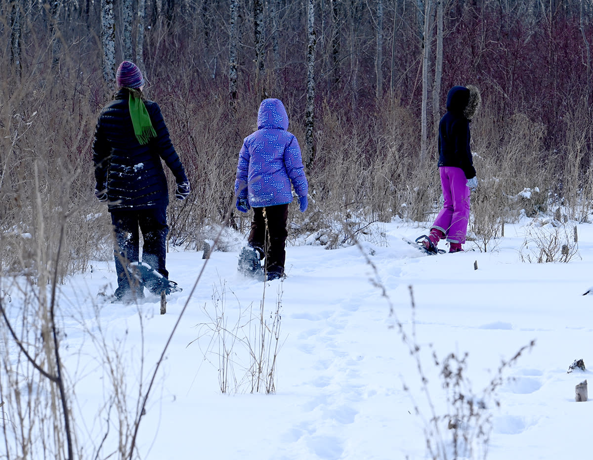 Snowshoeing