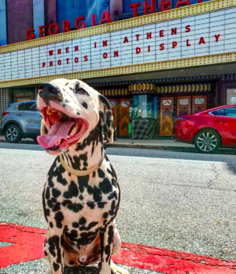 Dog, Georgia Theatre