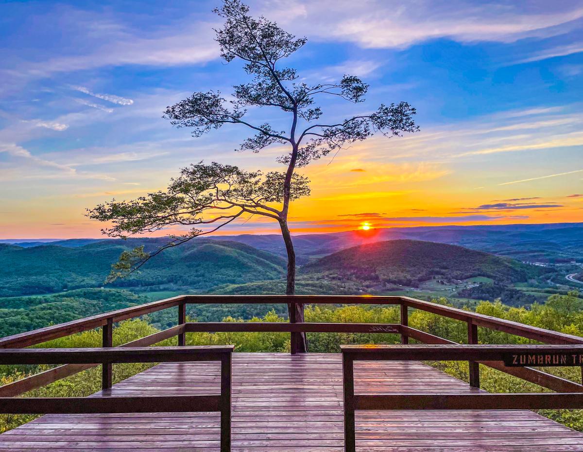 A lone tree sits at the edge of a wooden overlook, with rolling mountains and the sun setting along the horizon.