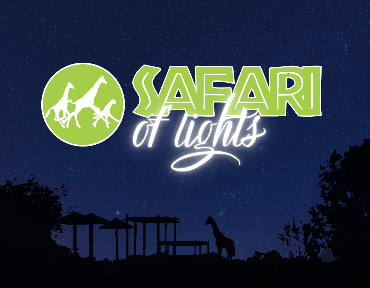 Safari of Lights