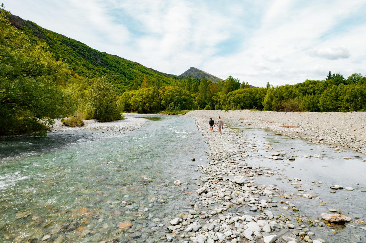 Shallow river surrounded by green trees