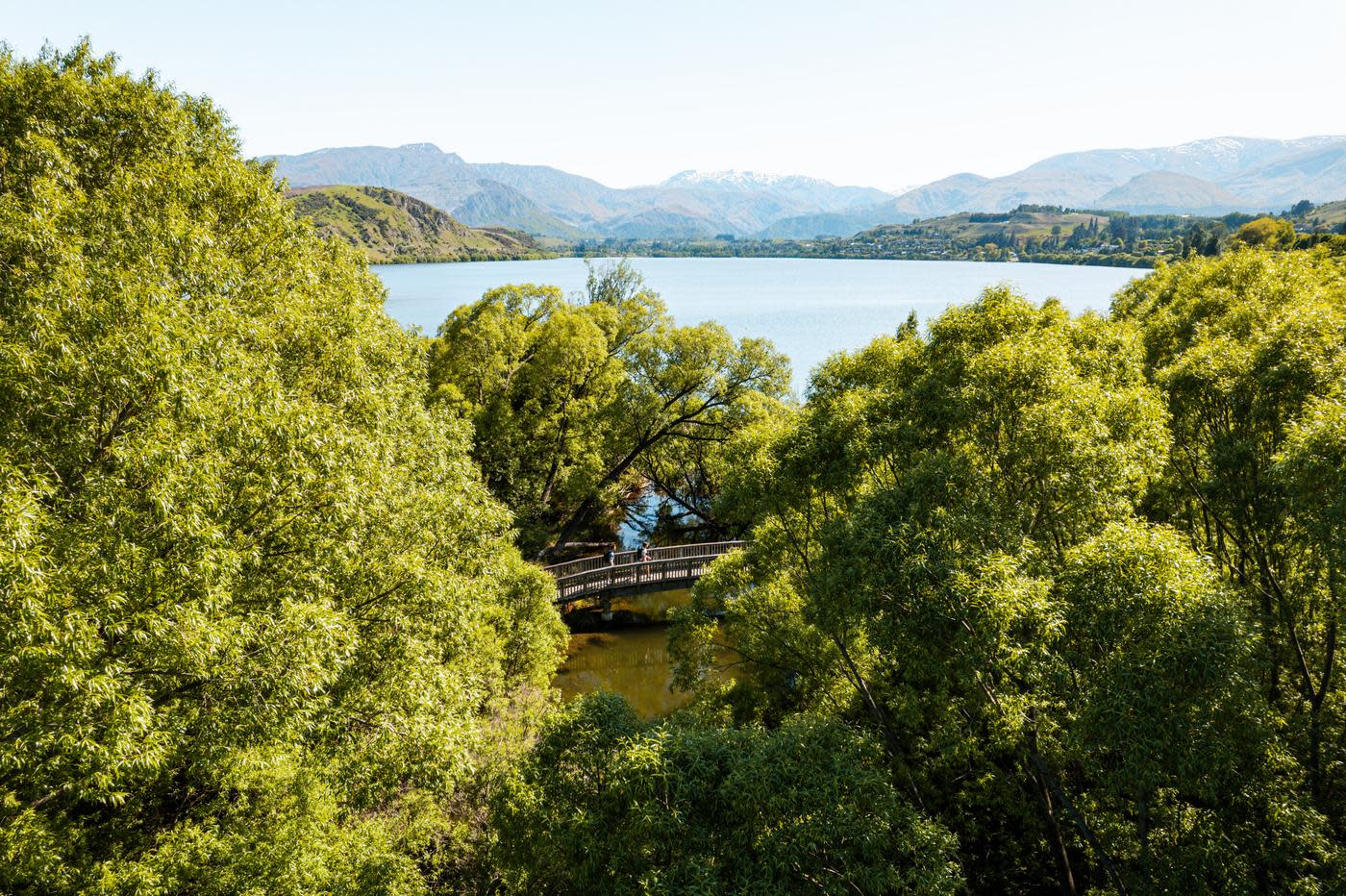 People walking the Lake Hayes loop track surorunded by trees with a view of lake and mountains in the background