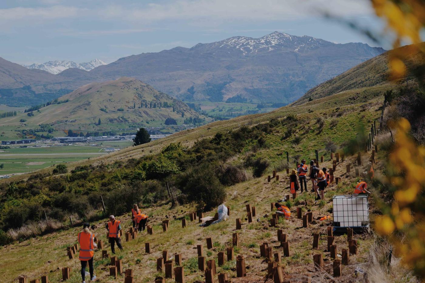 Volunteers planting trees on lower Remarkables range