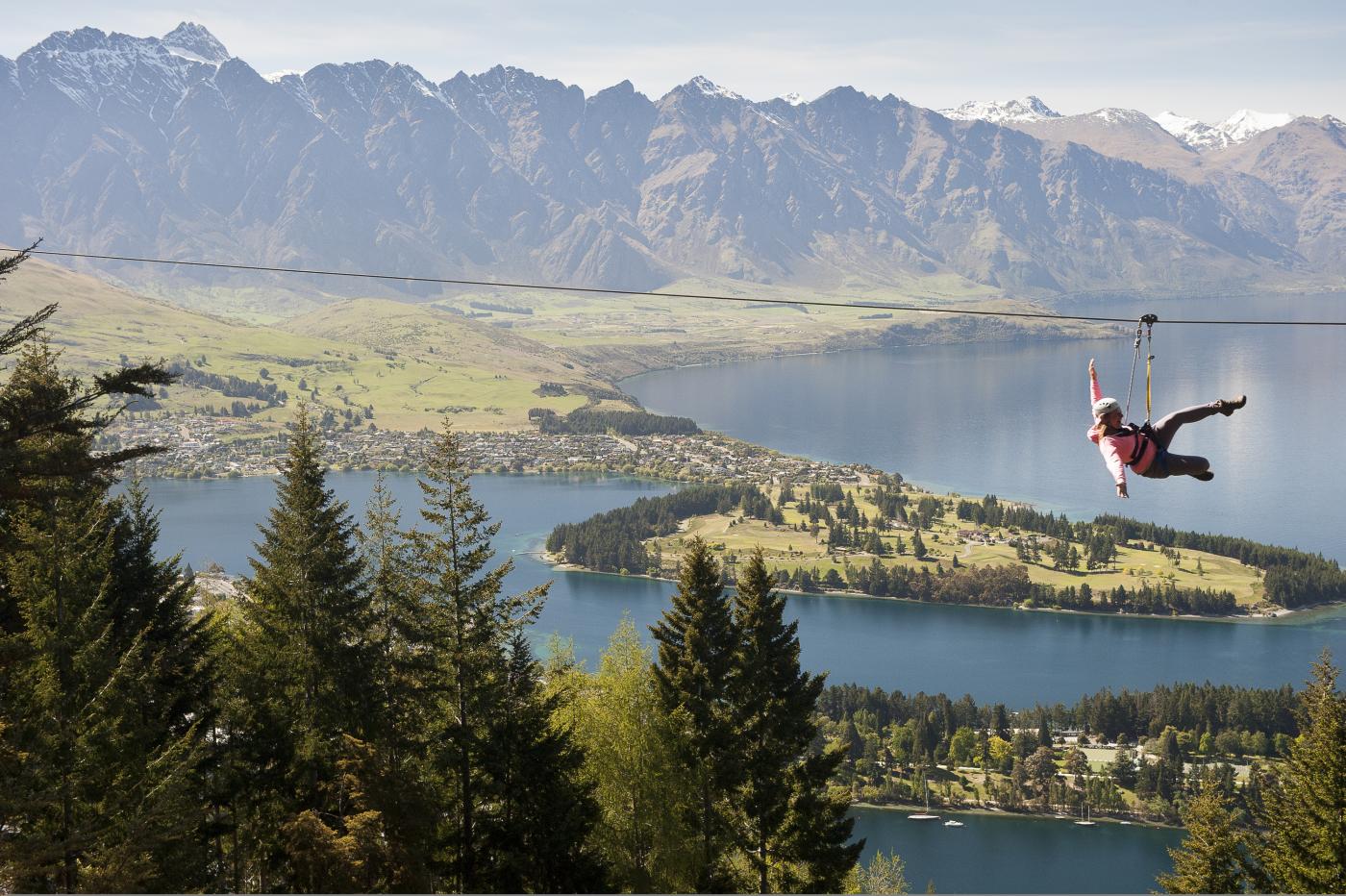 Man ziplining in spring with Ziptrek Eco Tours