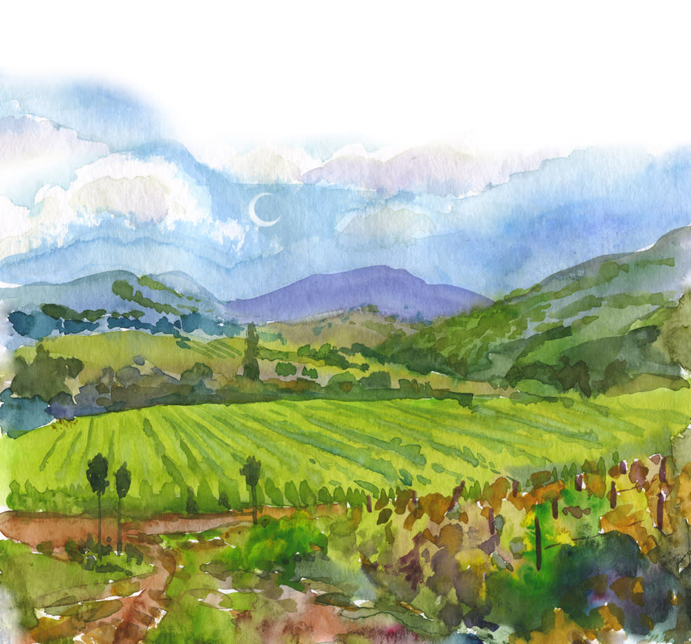 Sonoma vineyards and mountains as a watercolor