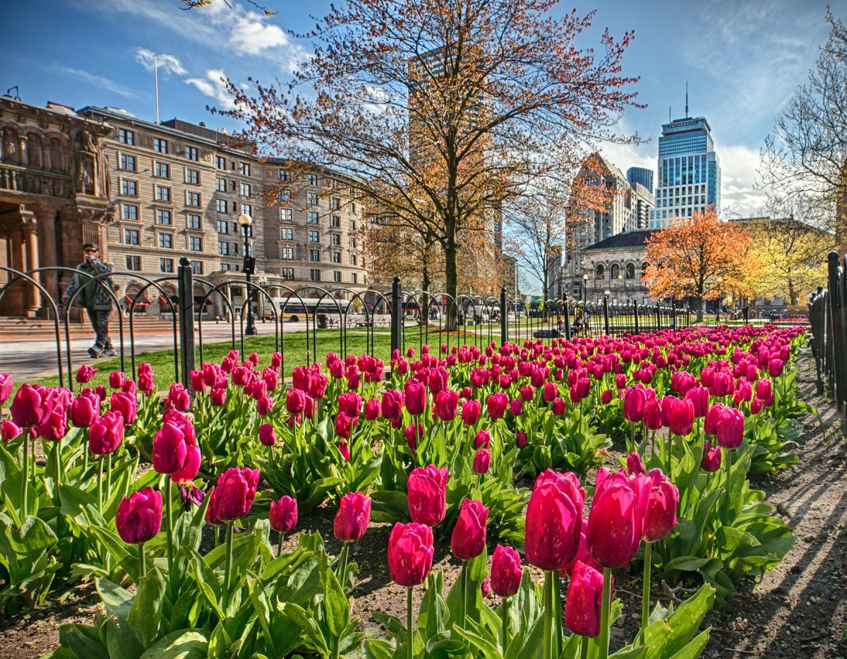 Copley Square