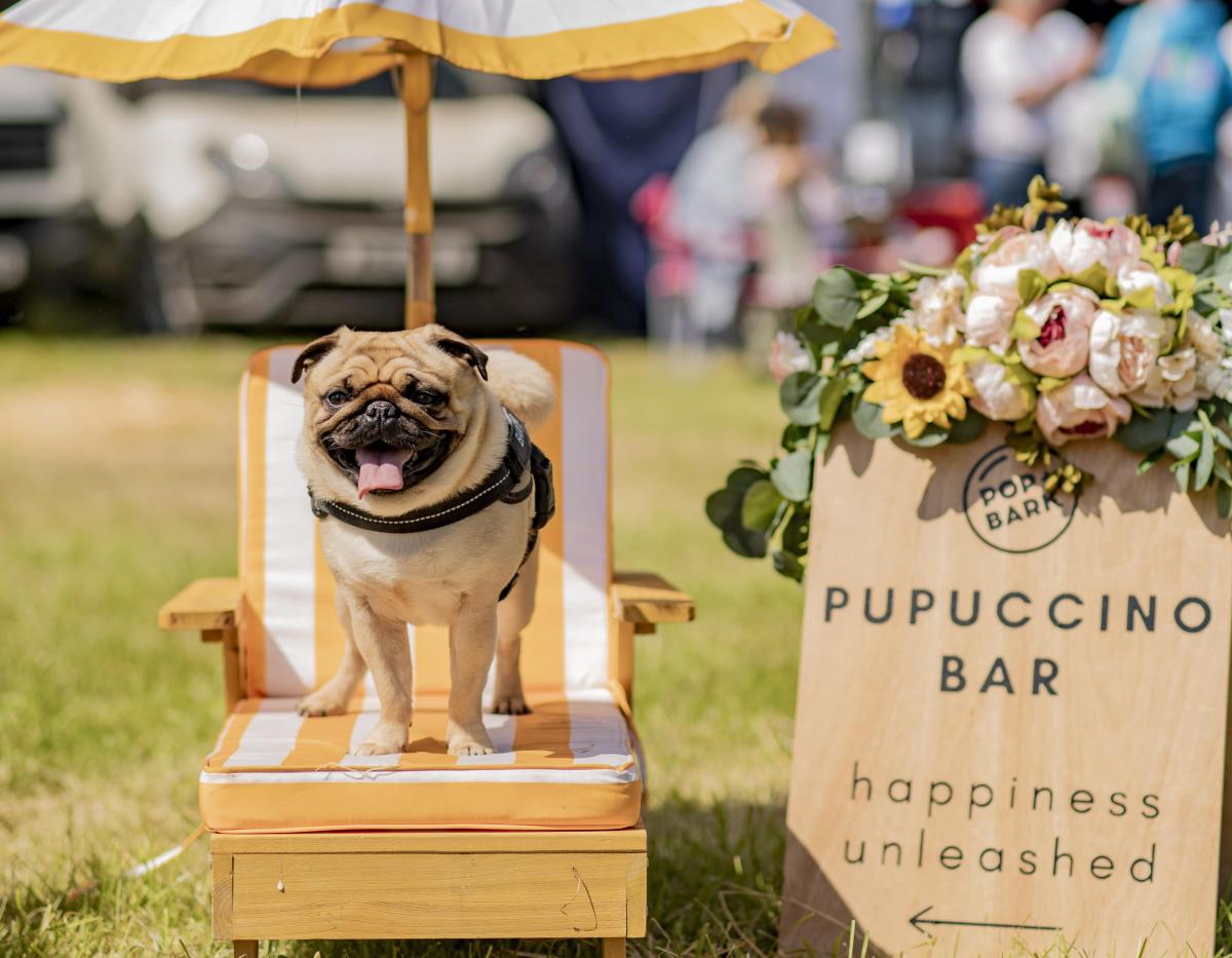 Dogstival