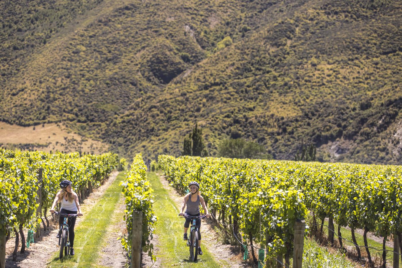 Friends biking through the vines in Gibbston