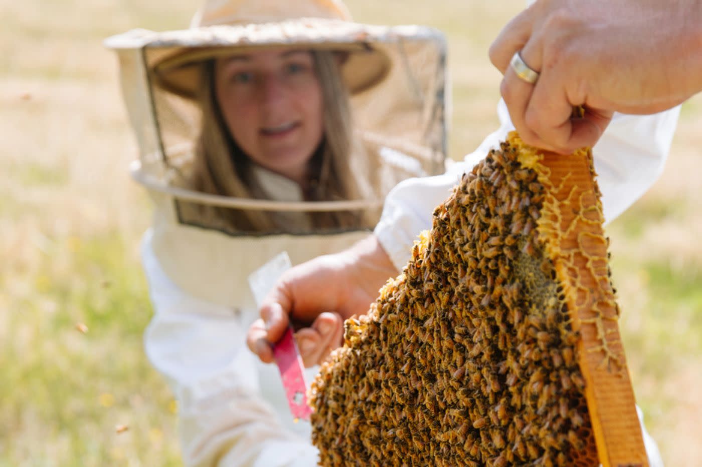 Women in bee-keeping equipment participates in a workshop at Buzzstop in Queenstown
