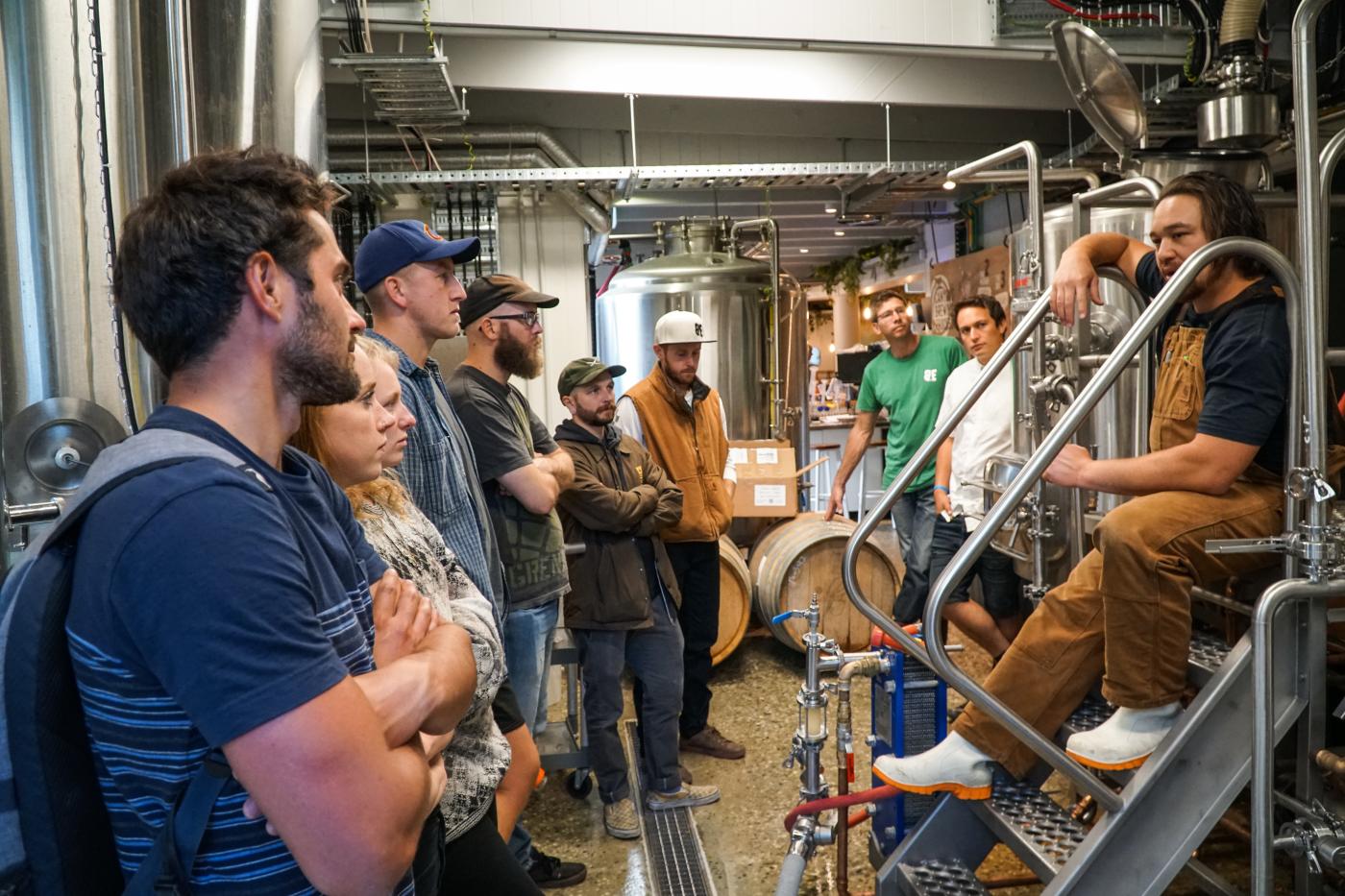 Beer making process, Queenstown Beer Tours