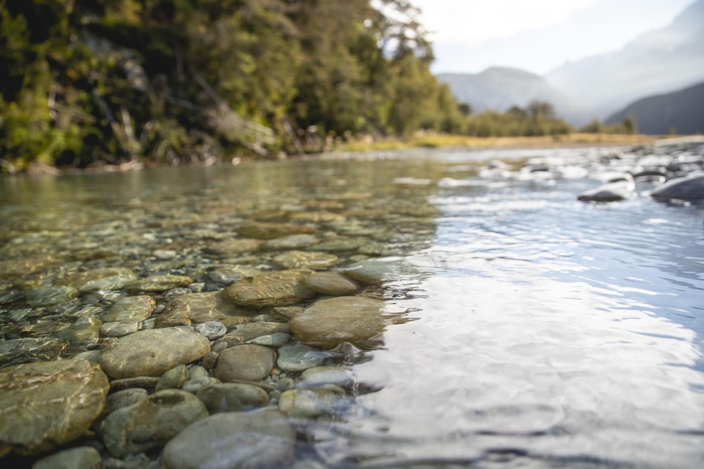 Close up of water and rocks - Dart River, Glenorchy