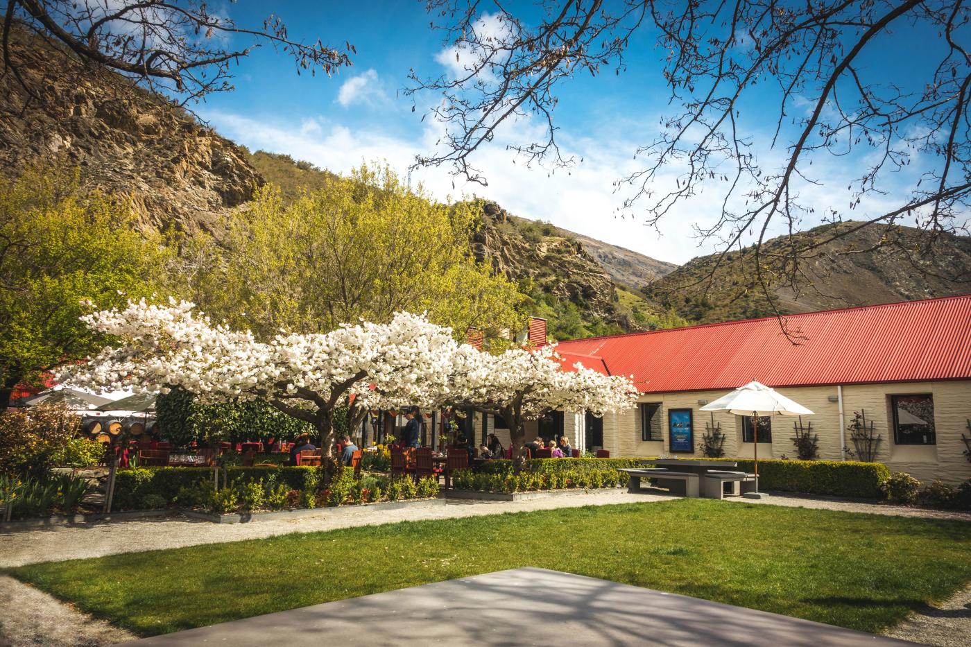 Gibbston Valley Winery Cellar Door Garden in Spring