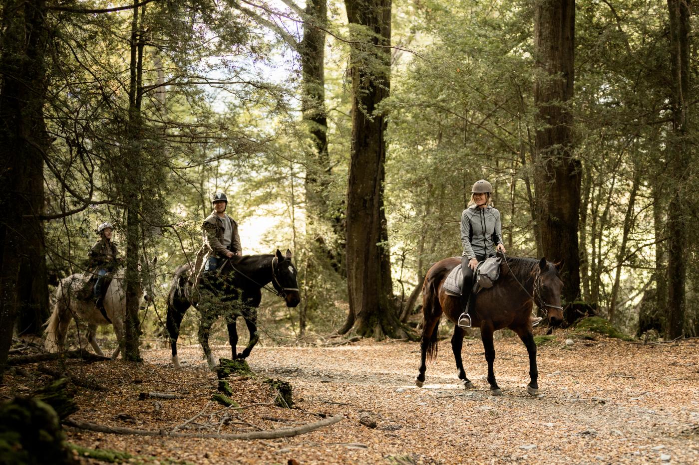 High Country Horses Glenorchy - Forest Trek