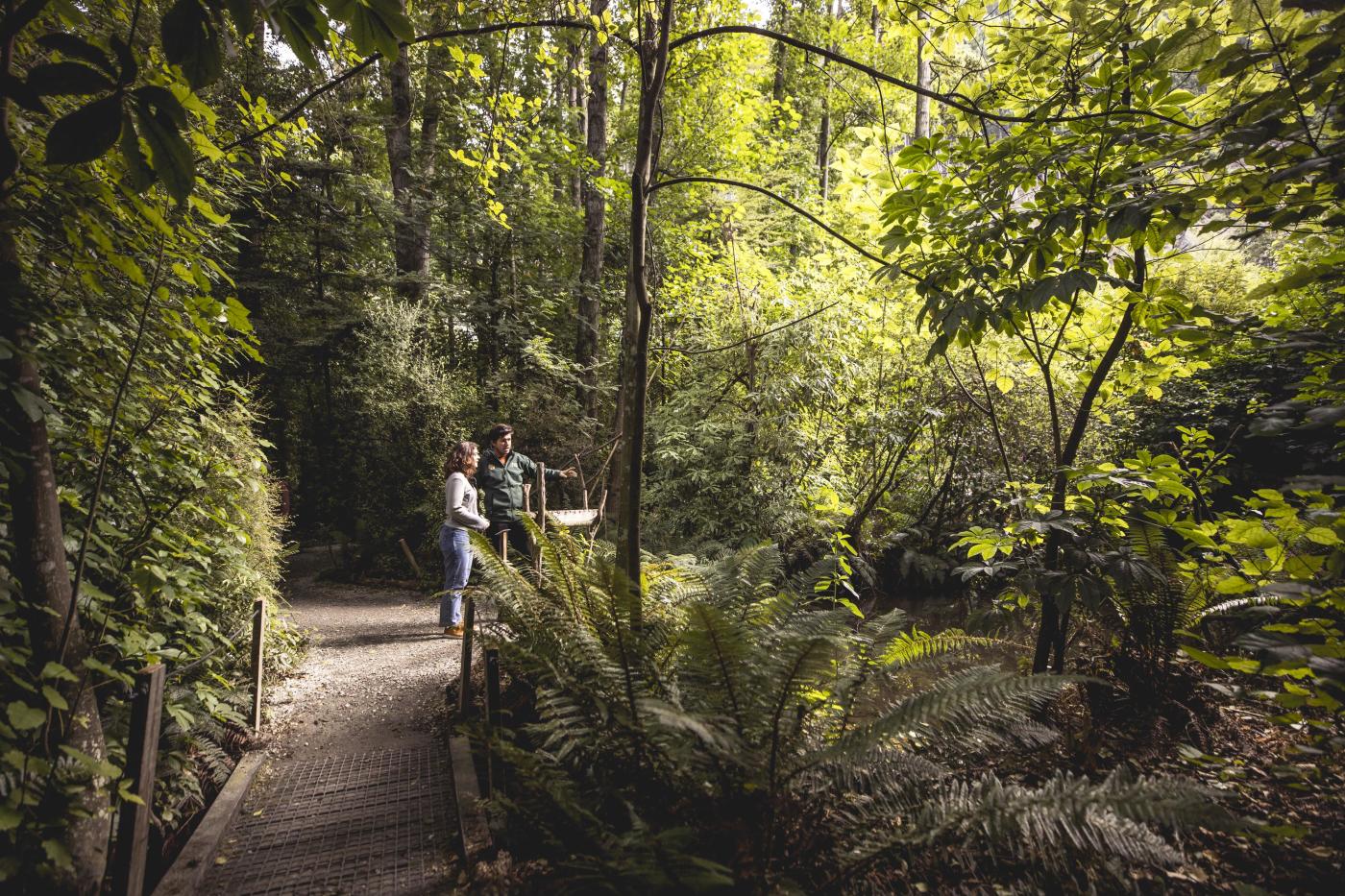 Two people surrounded by native bush at the kiwi park