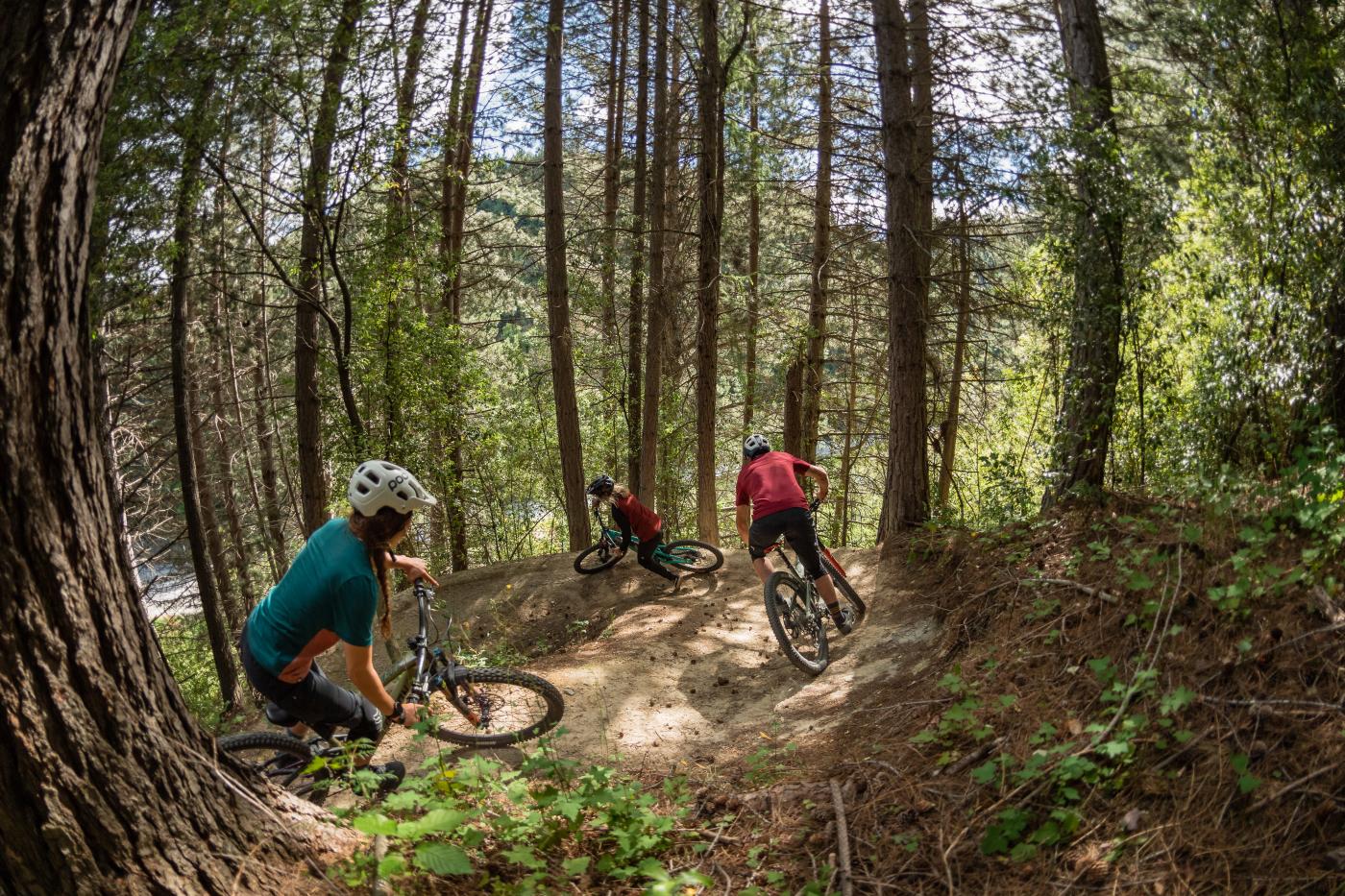 Mountain biking the Moonlight Trail, Queenstown