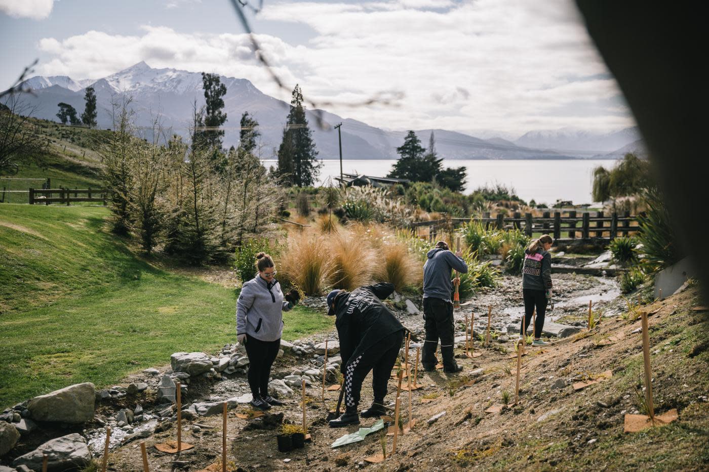 Planting native plants at Walter Peak