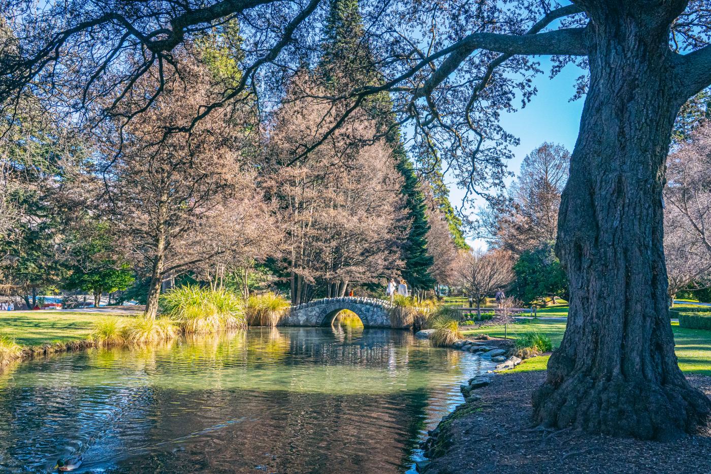 Queenstown Gardens lake and brudge