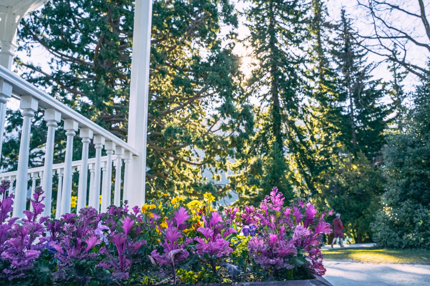 Queenstown Gardens in Spring