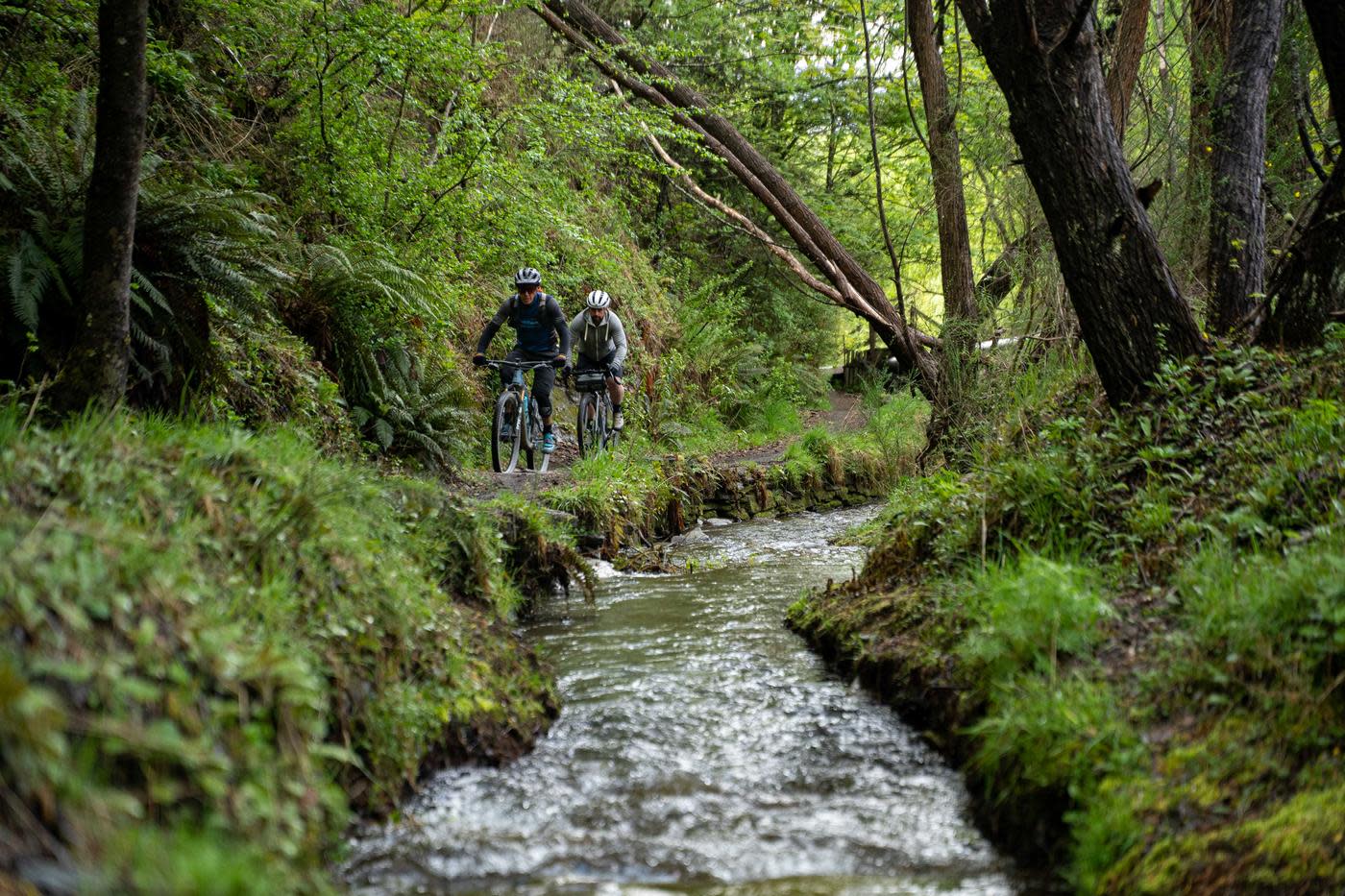 Bikers riding along river surrounded by green moss forest
