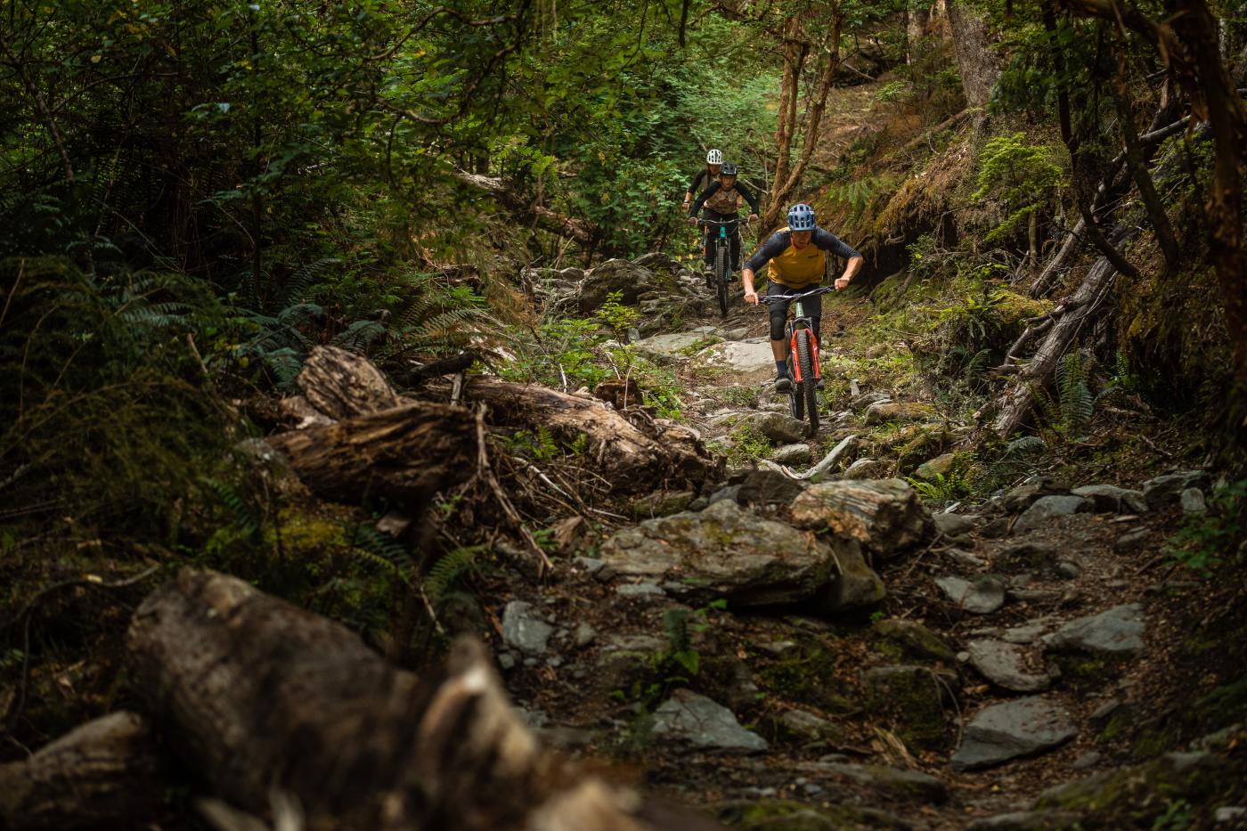 Mountain Biking Salmon Run, Queenstown