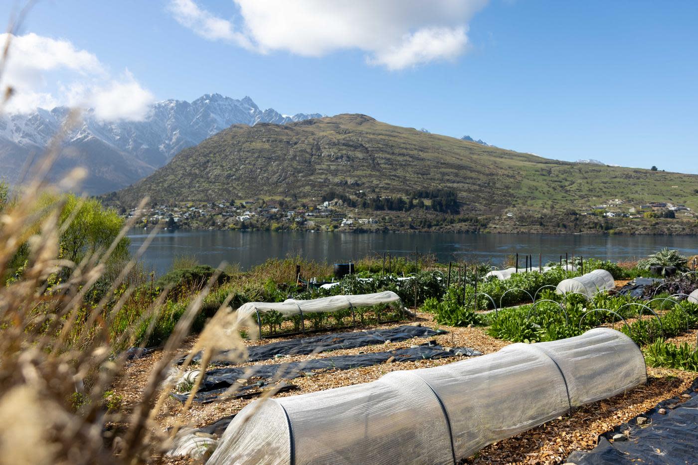 Sherwood vegetable garden overlooking Lake Whakatipu and The Remarkables in Queenstown