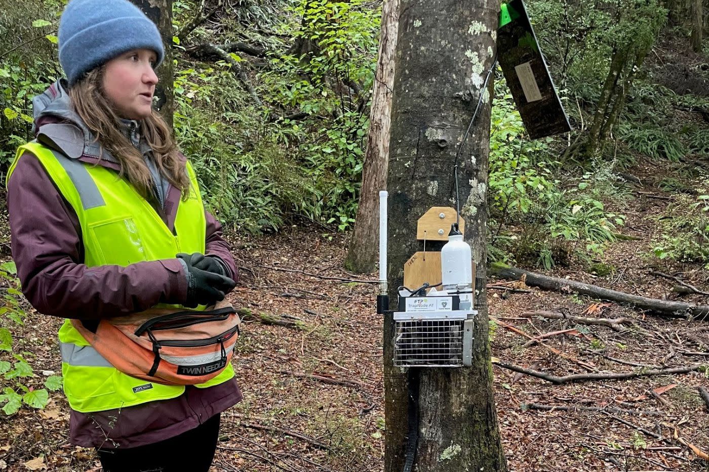 Southern Lakes Sanctuary Trapping