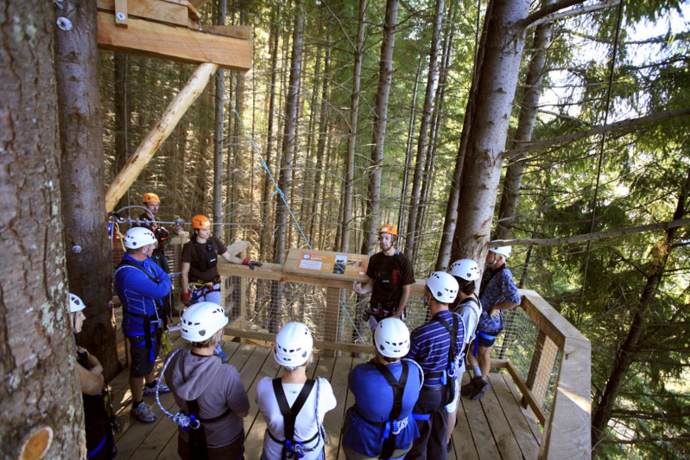 Ziptrek Ecotours group