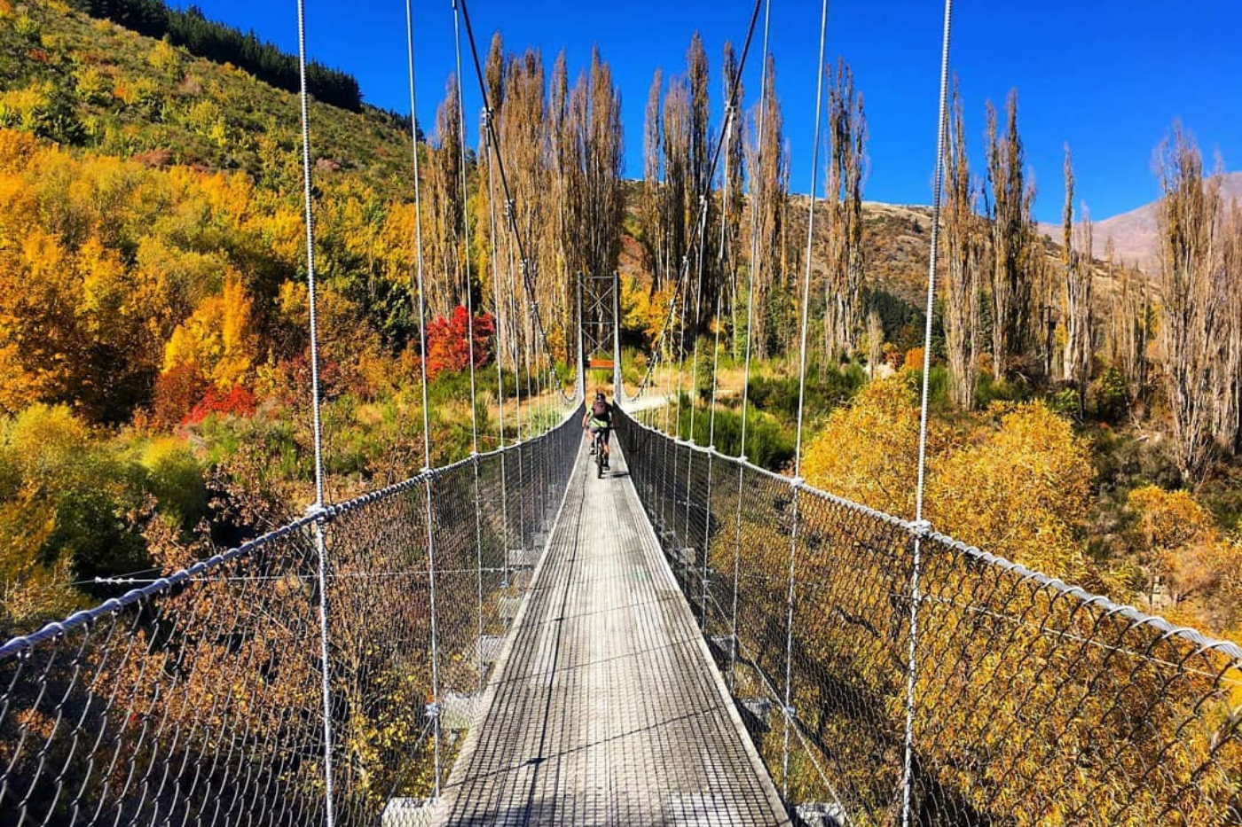 Person biking over suspension bridge on Queenstown Trail