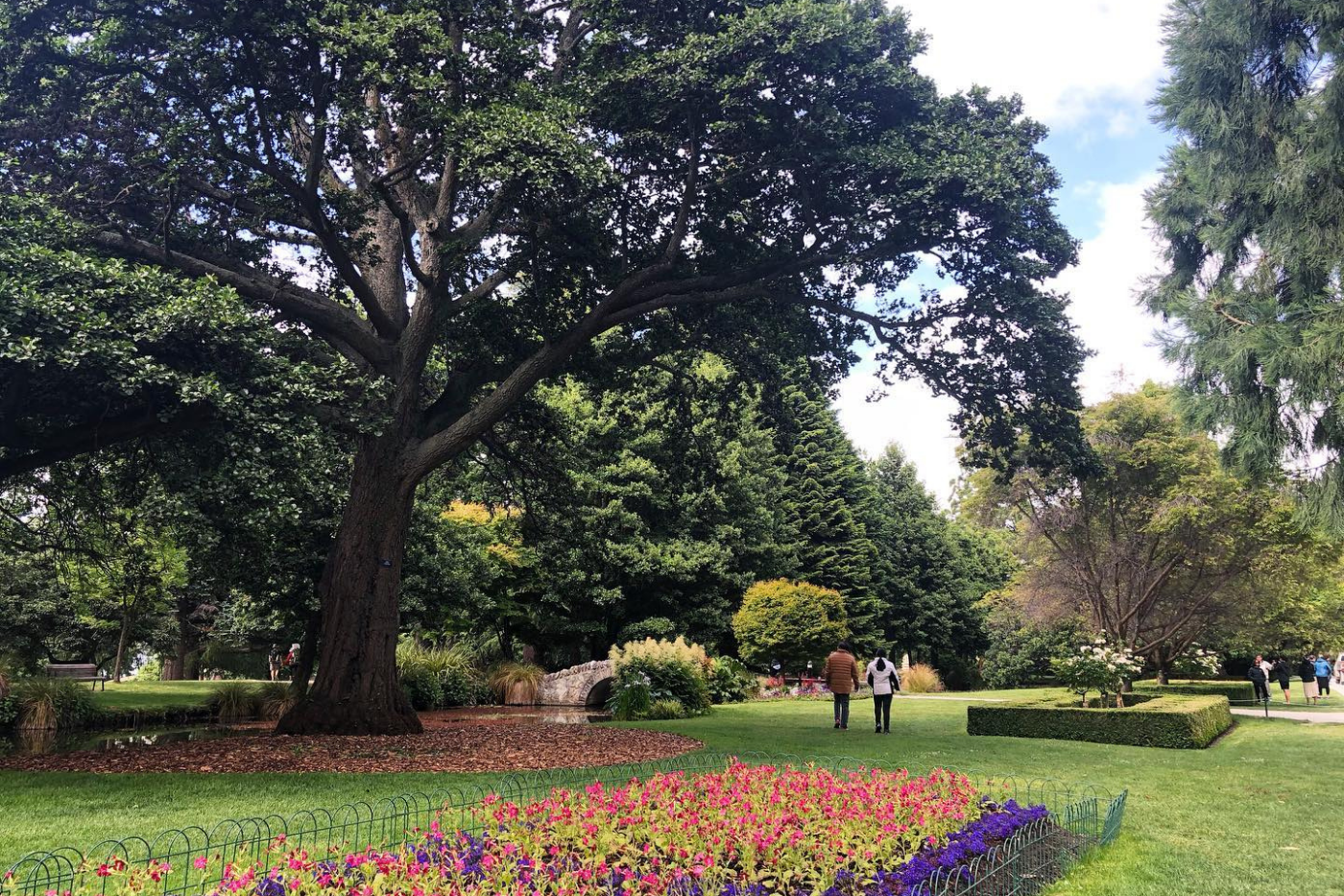 Queenstown gardens with big trees and flower beds