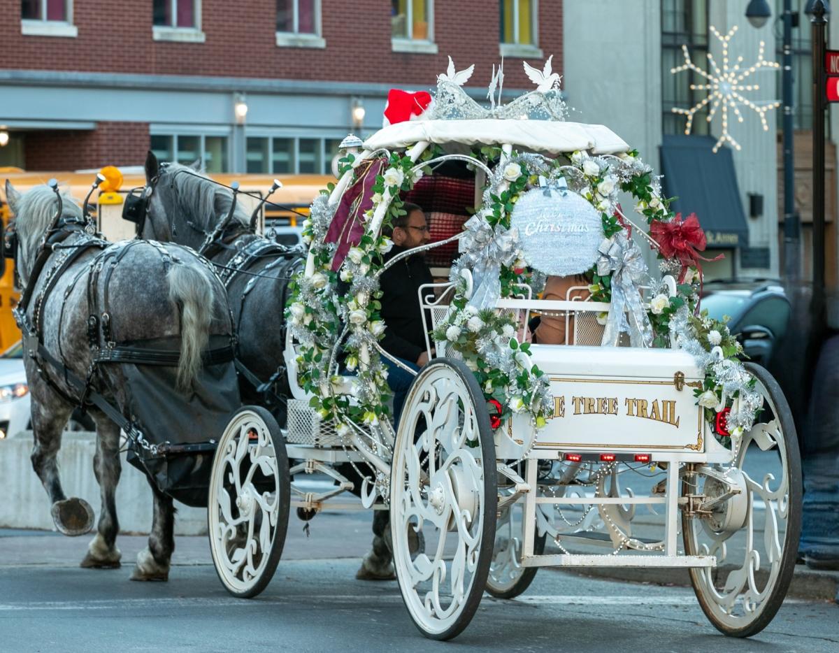 A horse-drawn carriage at Easton Winter Village in Easton