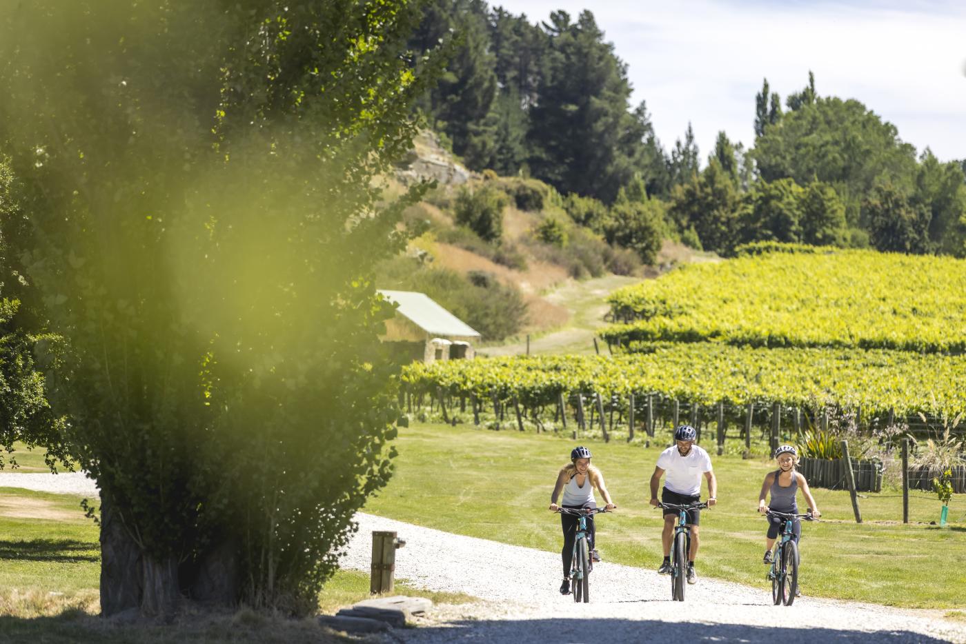 Friends Biking Gibbston Wineries in summer