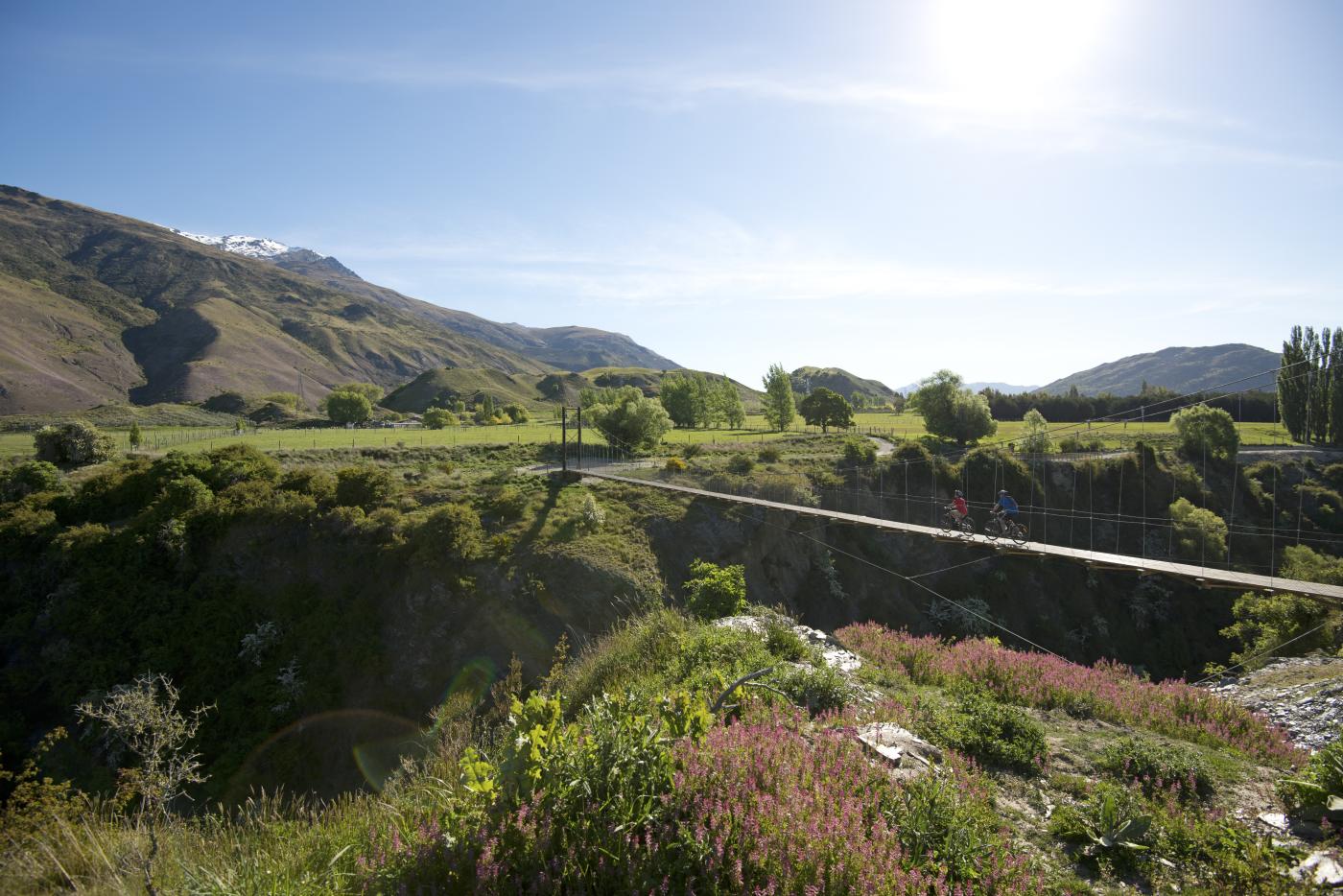 Biking over the Edgar Bridge in summer