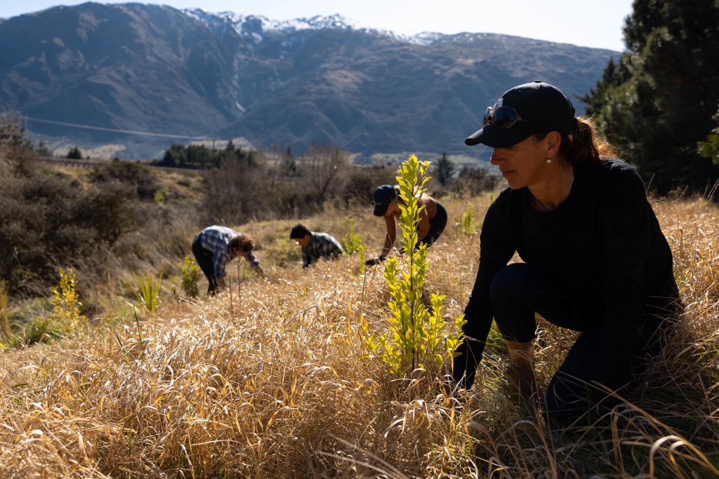 Person planting tree in nature